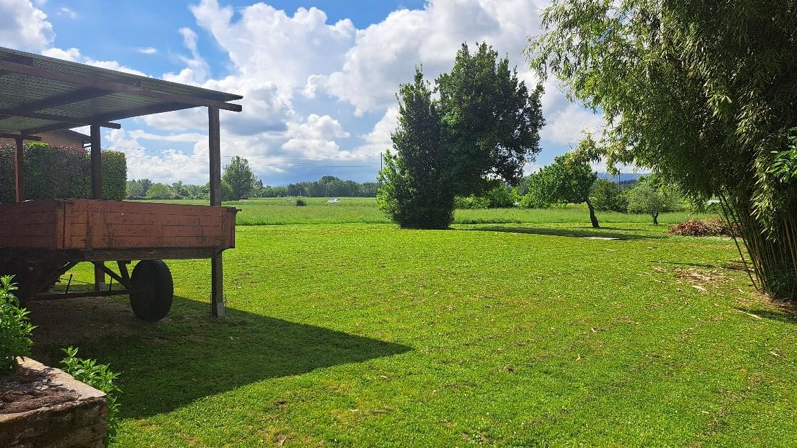 Immagine 8 di Casa colonica in vendita  a Pontedera