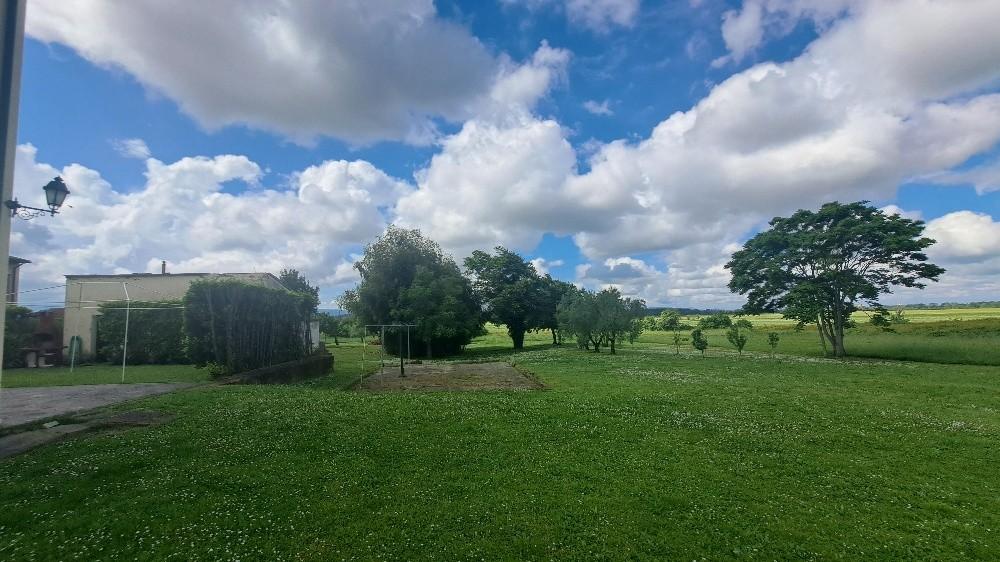 Immagine 56 di Casa colonica in vendita  a Pontedera