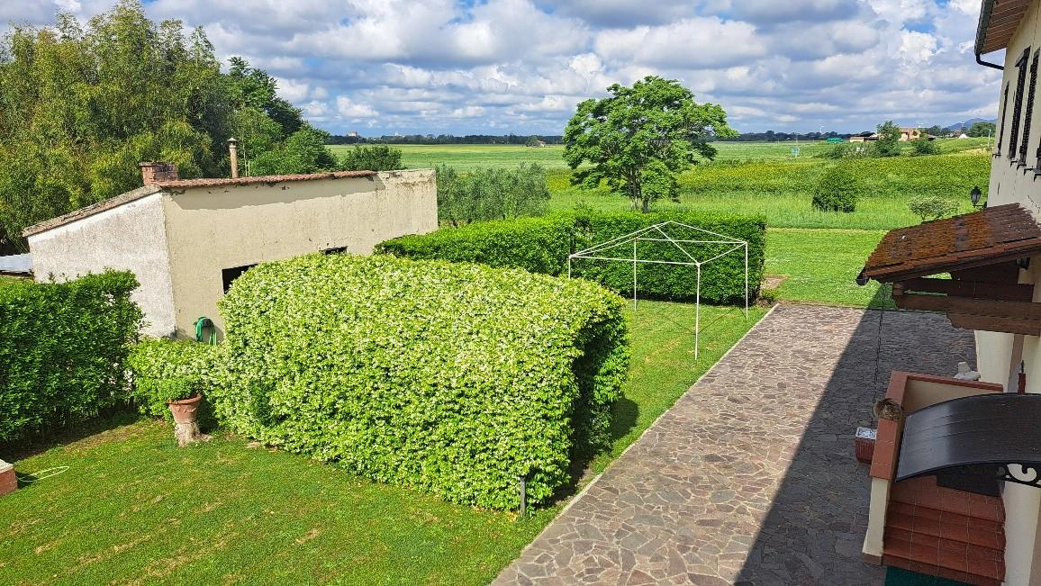 Immagine 27 di Casa colonica in vendita  a Pontedera