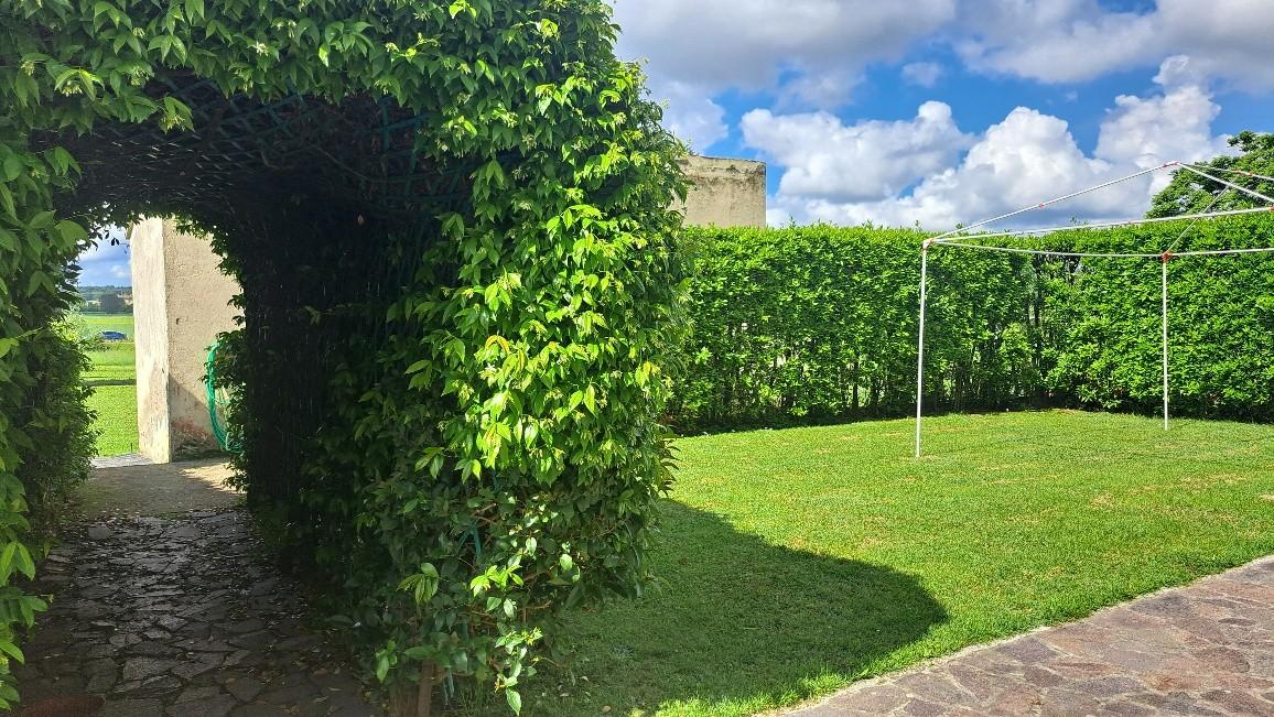 Immagine 54 di Casa colonica in vendita  a Pontedera