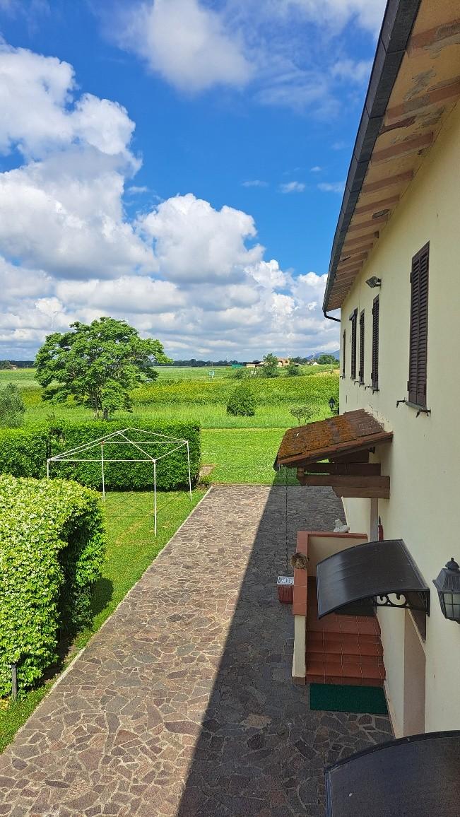 Immagine 12 di Casa colonica in vendita  a Pontedera