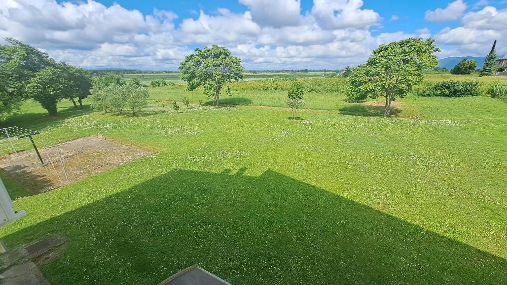 Immagine 9 di Casa colonica in vendita  a Pontedera