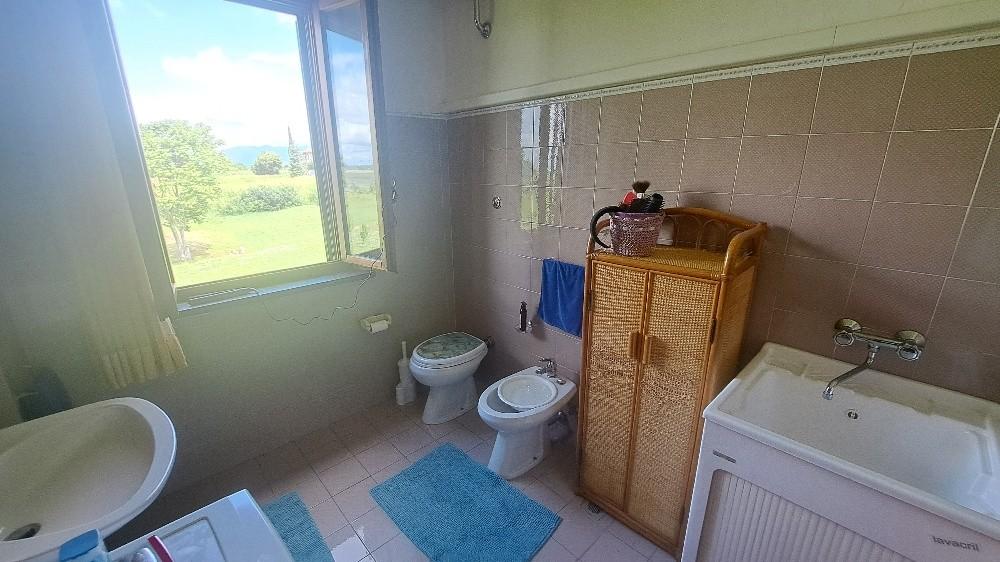 Immagine 31 di Casa colonica in vendita  a Pontedera