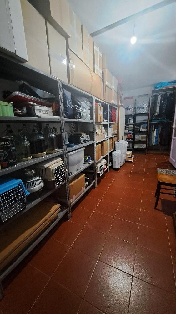 Immagine 47 di Casa colonica in vendita  a Pontedera