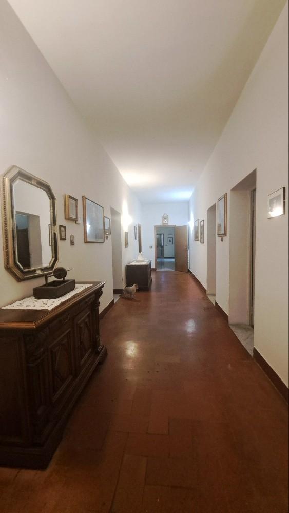 Immagine 21 di Casa colonica in vendita  a Pontedera