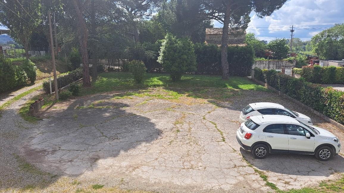 Immagine 4 di Casa colonica in vendita  a Pontedera