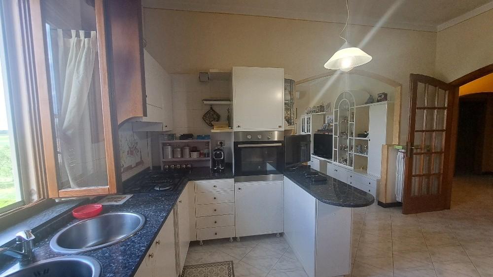 Immagine 17 di Casa colonica in vendita  a Pontedera