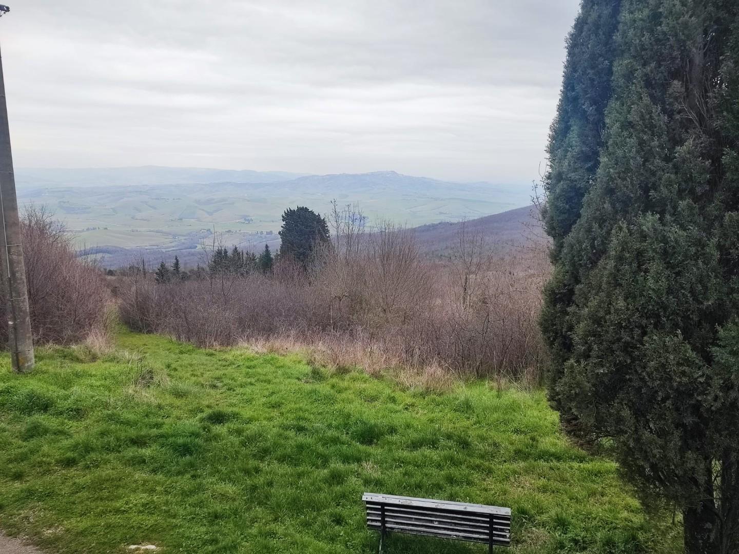 Immagine 24 di Porzione di casa in vendita  a Lajatico