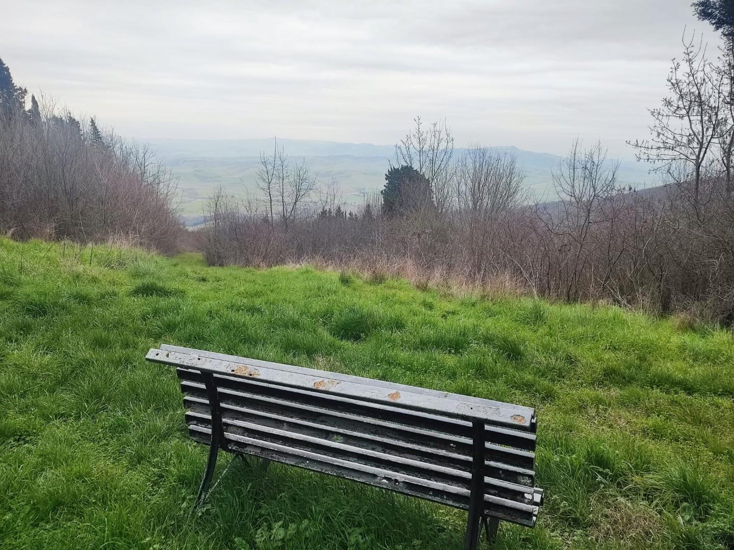 Immagine 29 di Porzione di casa in vendita  a Lajatico