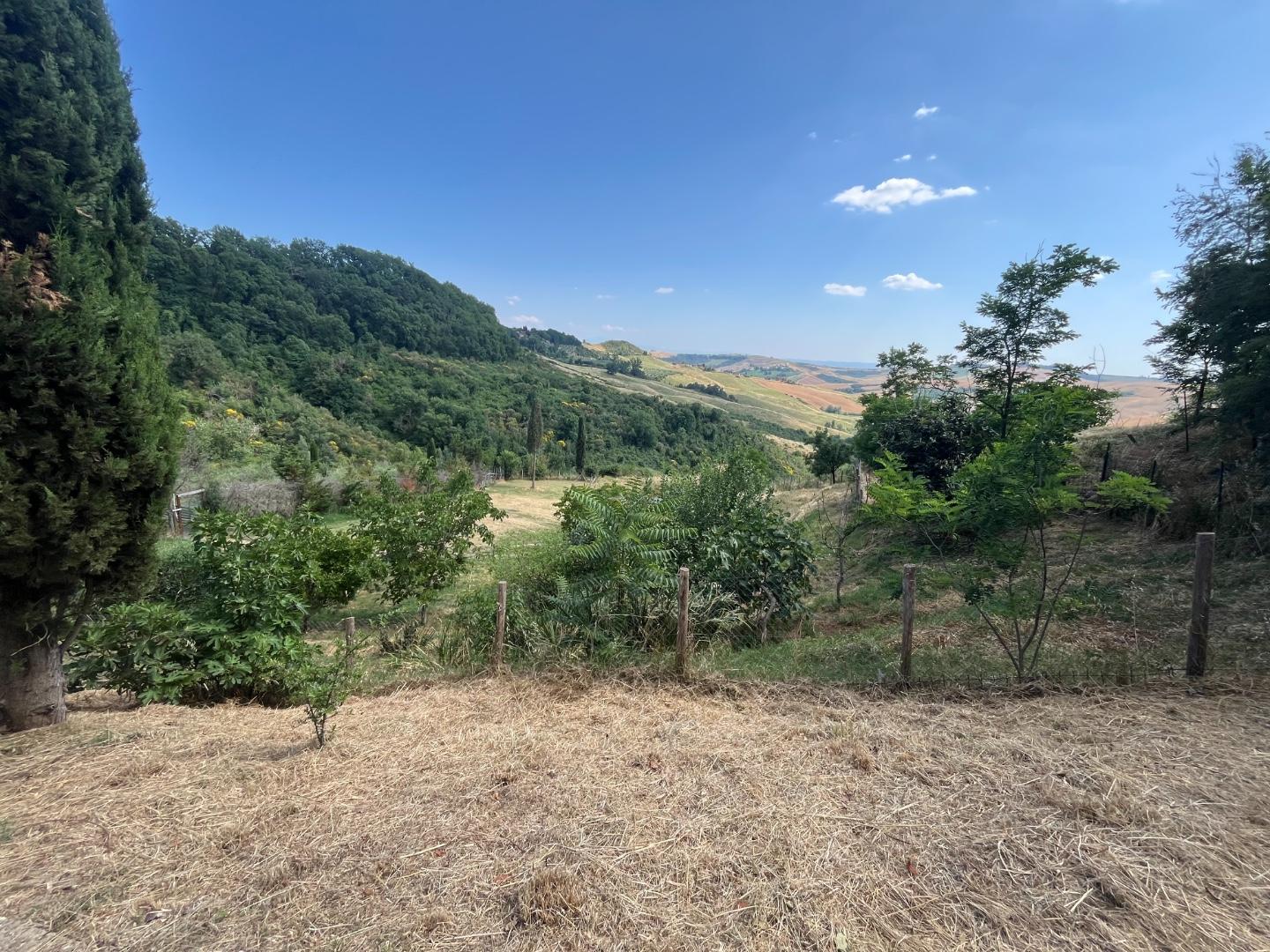 Immagine 22 di Appartamento in vendita  a Asciano