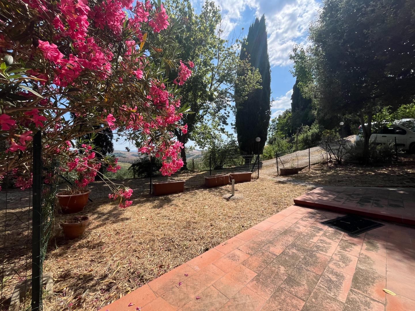 Immagine 6 di Appartamento in vendita  a Asciano