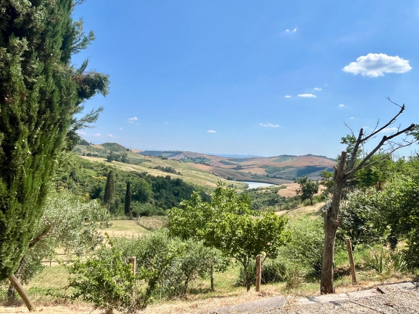 Immagine 2 di Appartamento in vendita  a Asciano