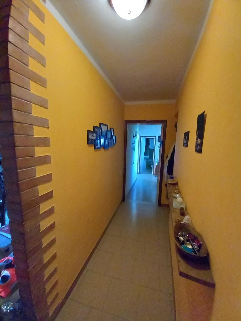 Immagine 6 di Appartamento in vendita  a Montaione