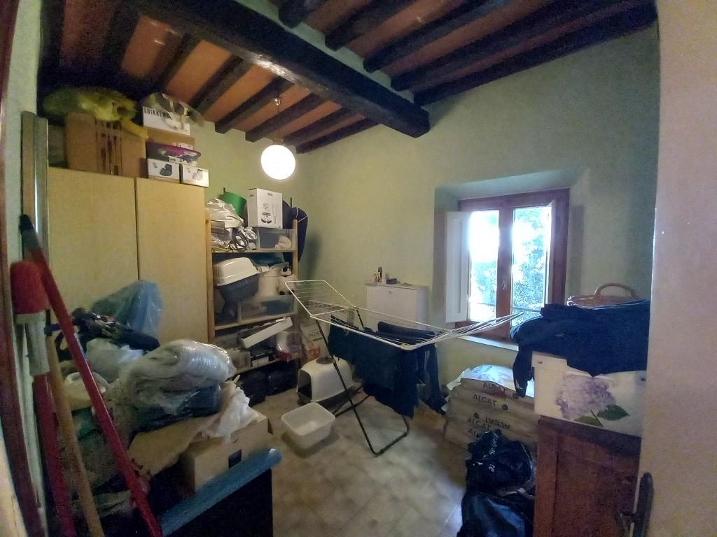 Immagine 11 di Appartamento in vendita  a Montaione