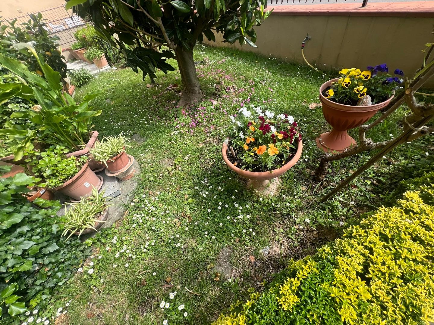 Immagine 2 di Casa semindipendente in vendita  a Vinci