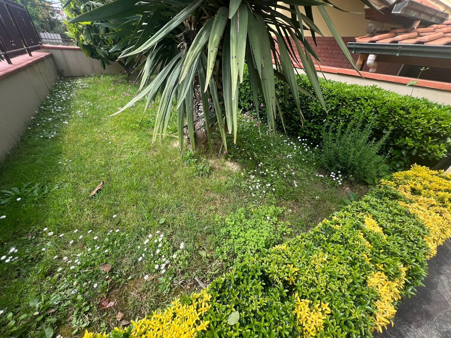 Immagine 3 di Casa semindipendente in vendita  a Vinci