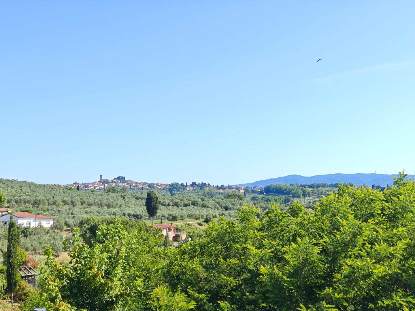 Immagine 24 di Villetta a schiera in vendita  a Capannoli
