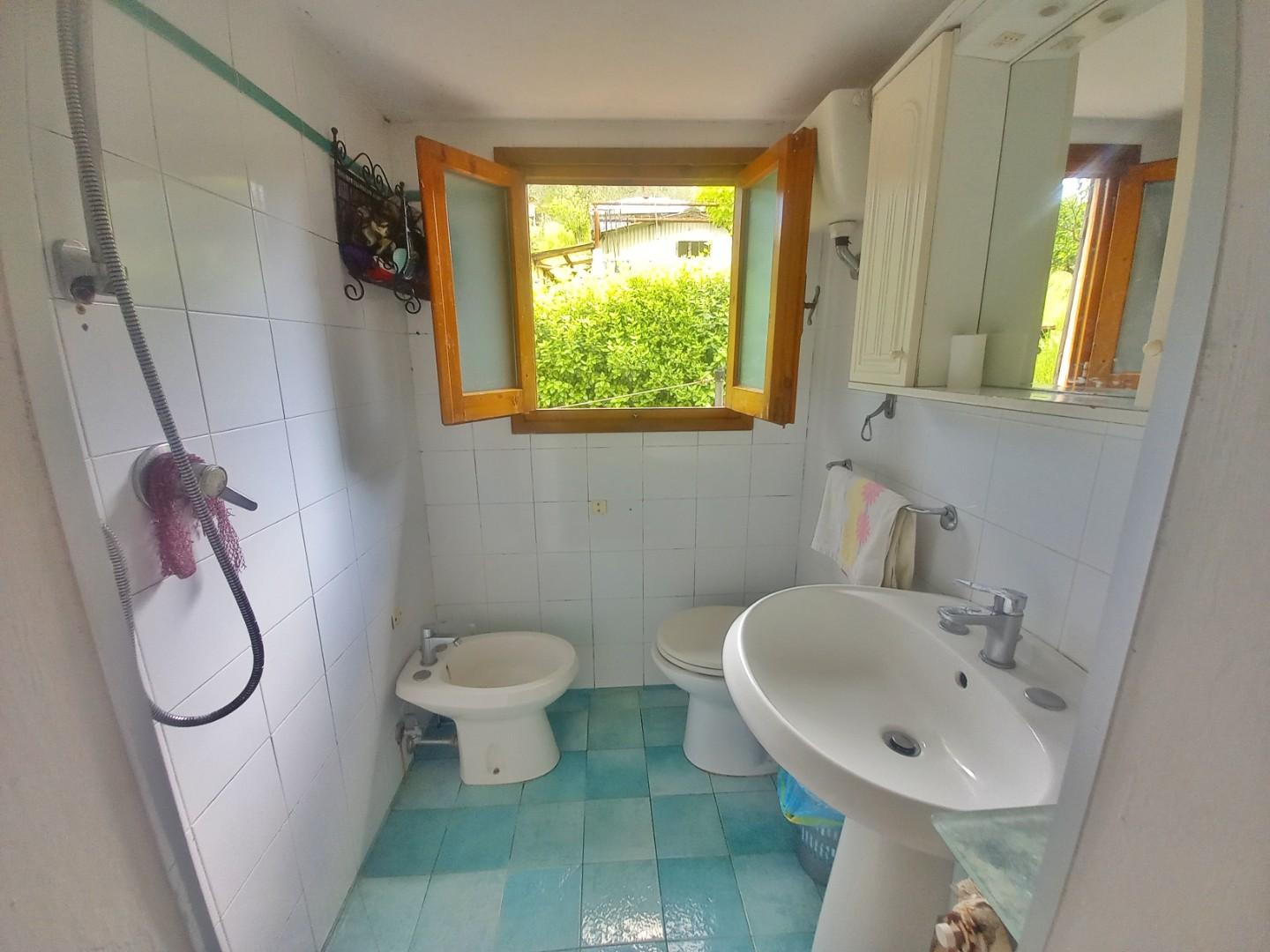 Immagine 19 di Terratetto in vendita  a Castelfiorentino