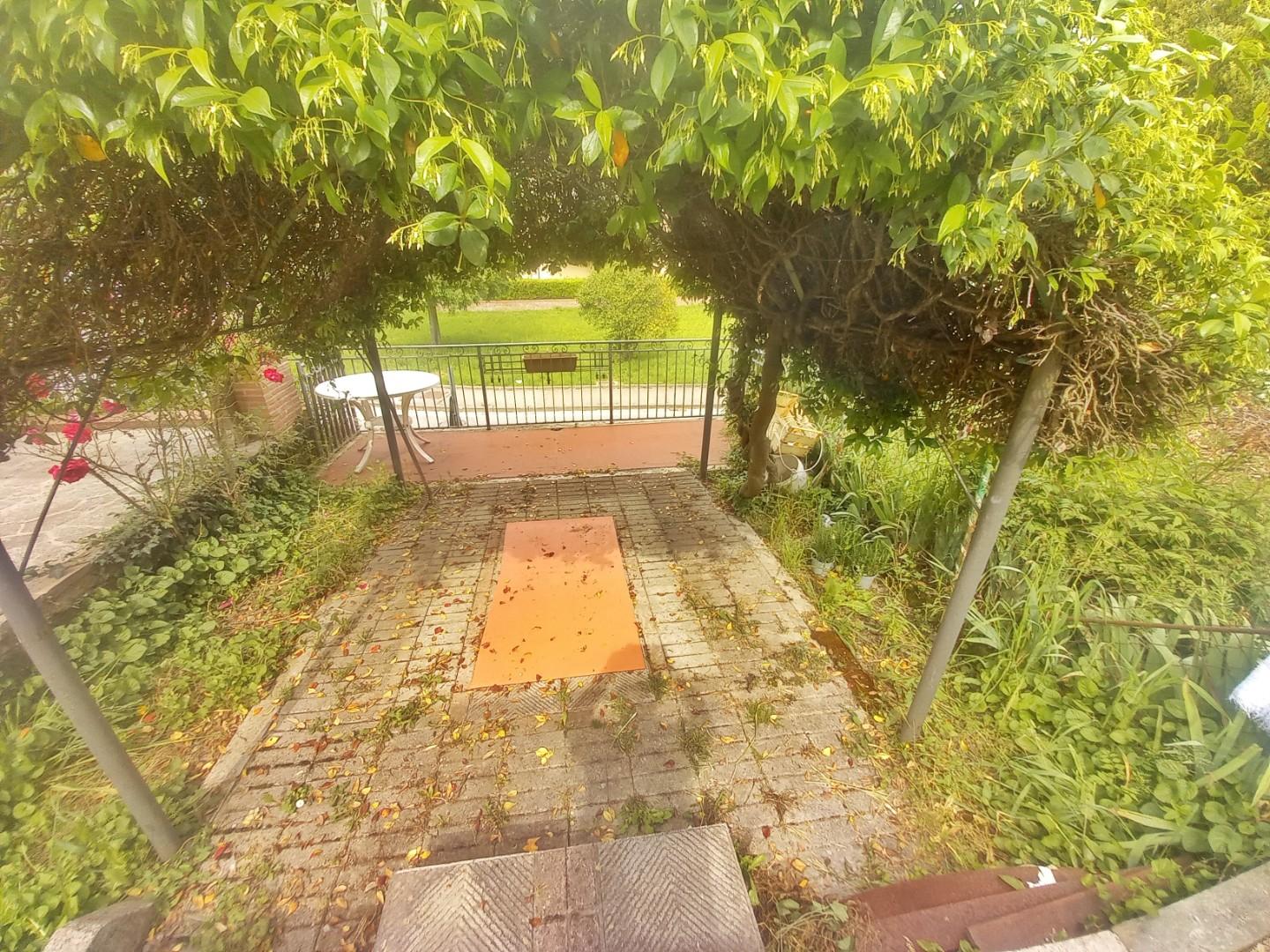 Immagine 25 di Terratetto in vendita  a Castelfiorentino