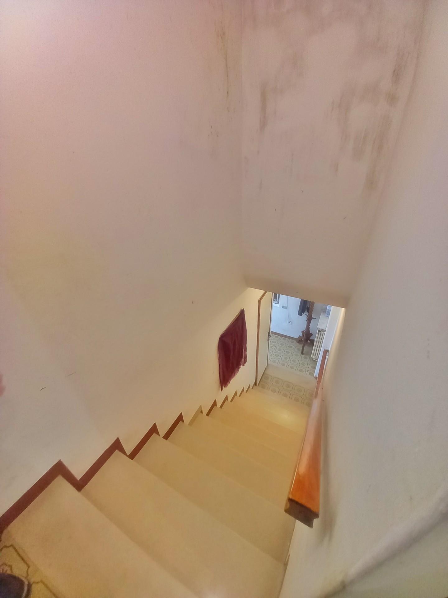 Immagine 20 di Terratetto in vendita  a Castelfiorentino