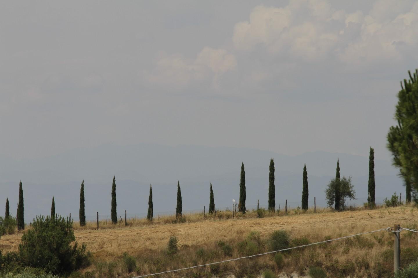Foto annuncio 52