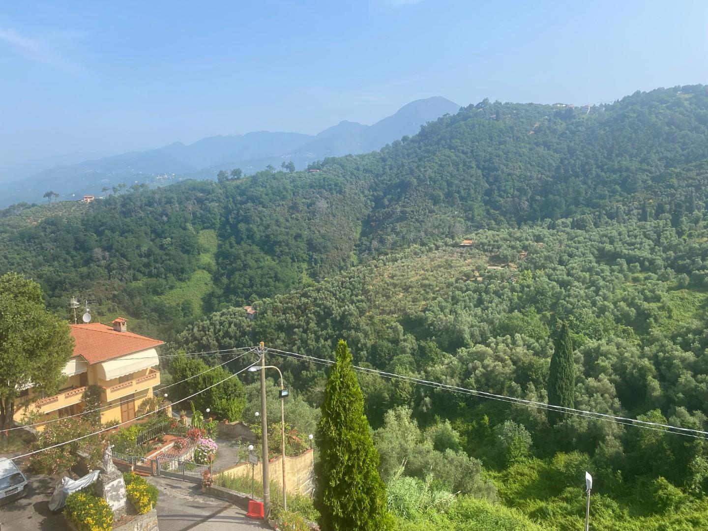 Immagine 7 di Terratetto in vendita  a Massarosa