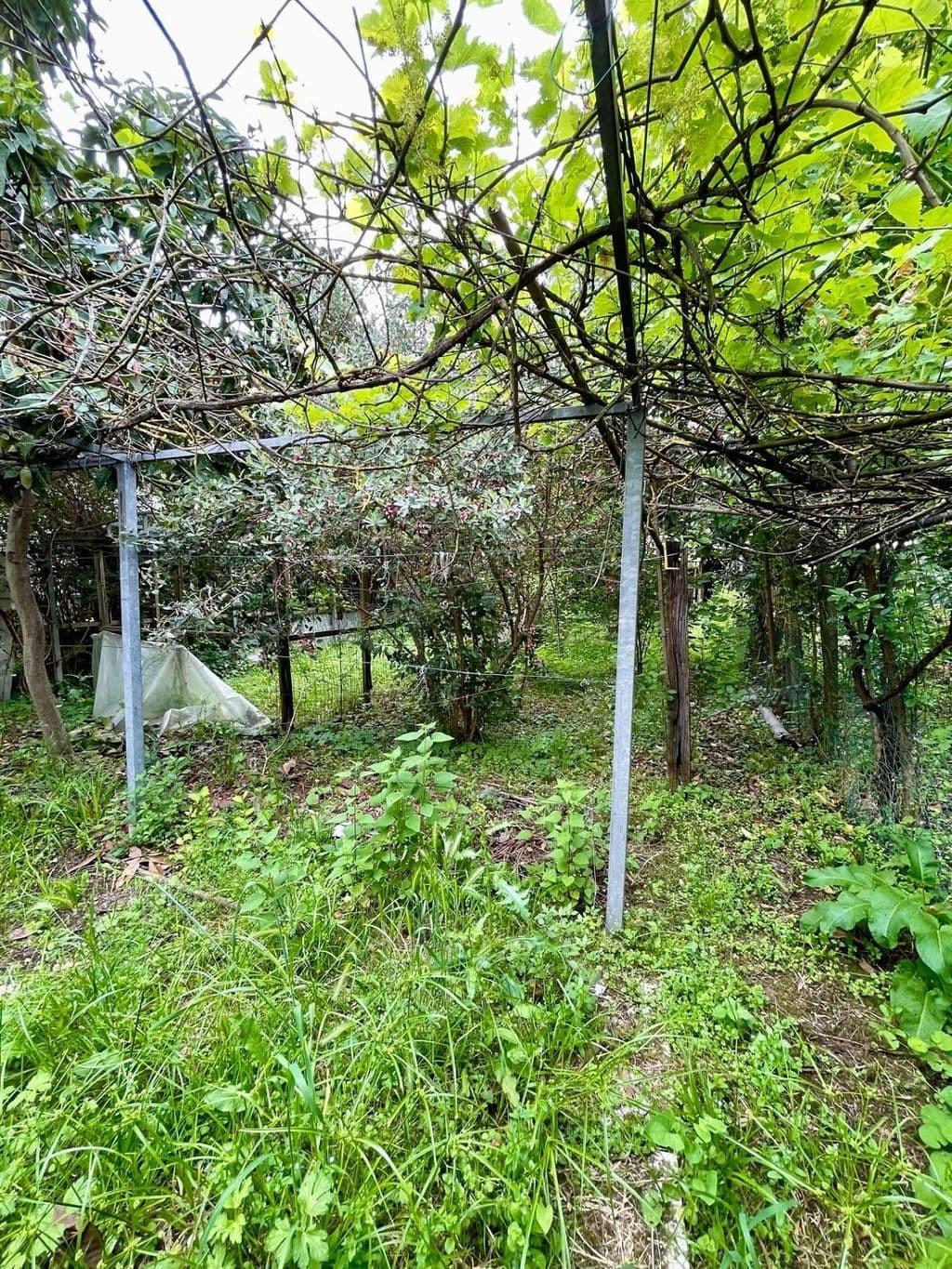 Immagine 5 di Casa bifamiliare in vendita  a Massa