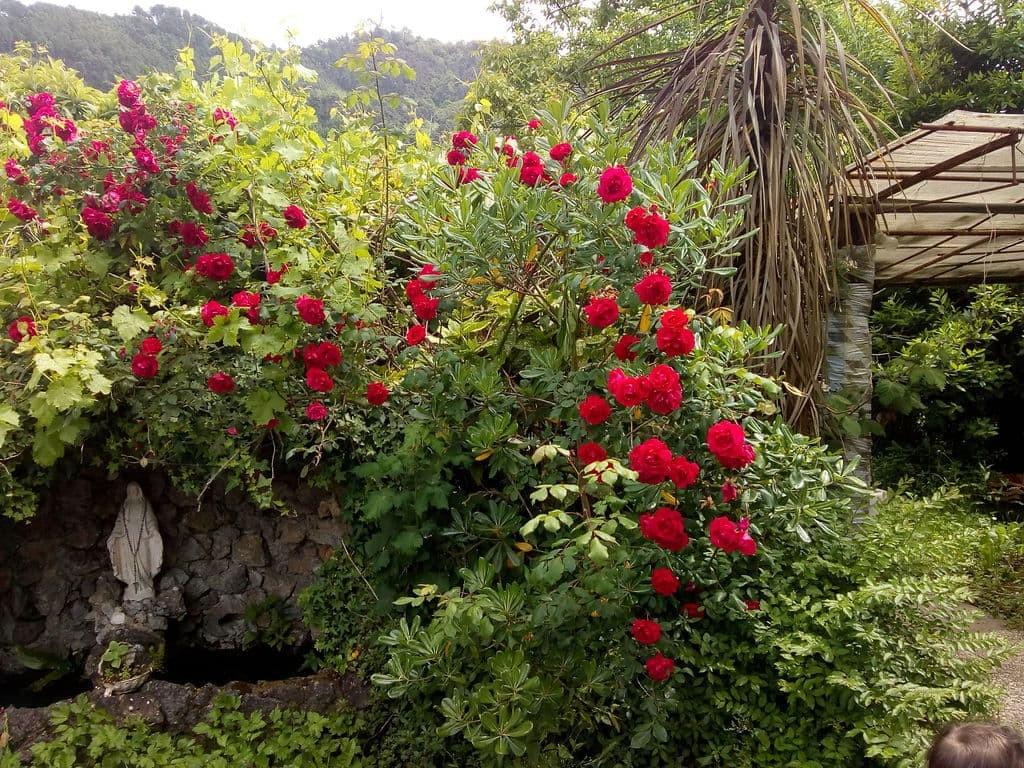 Immagine 2 di Casa bifamiliare in vendita  a Massa