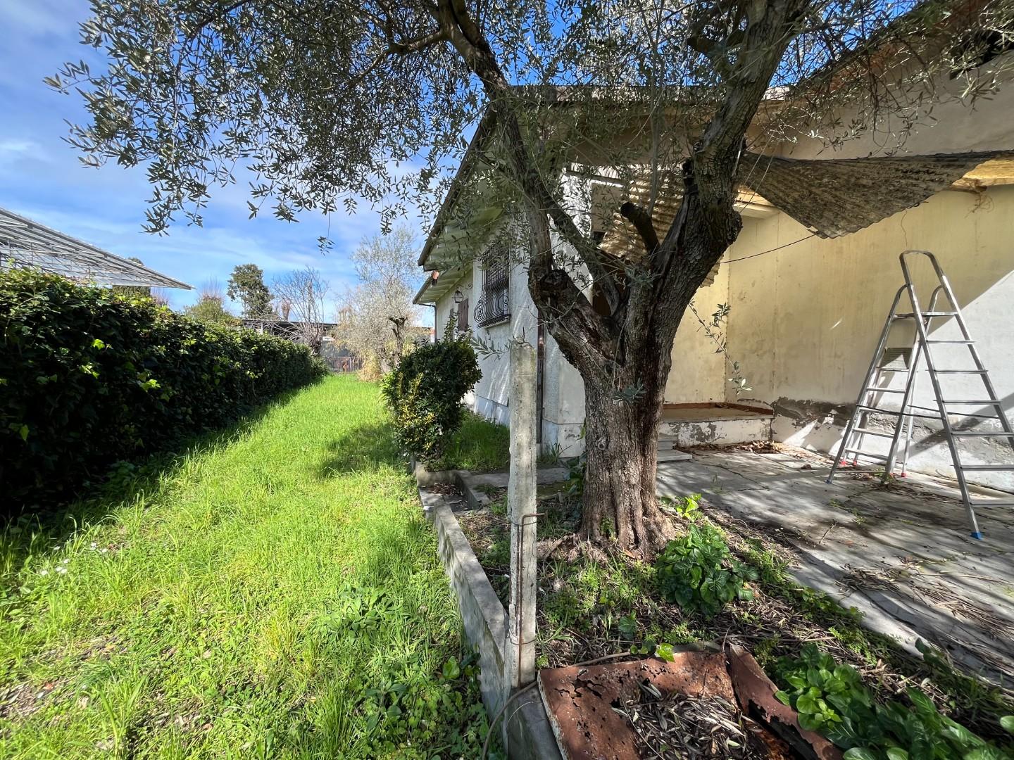 Immagine 4 di Casa indipendente in vendita  a Forte Dei Marmi