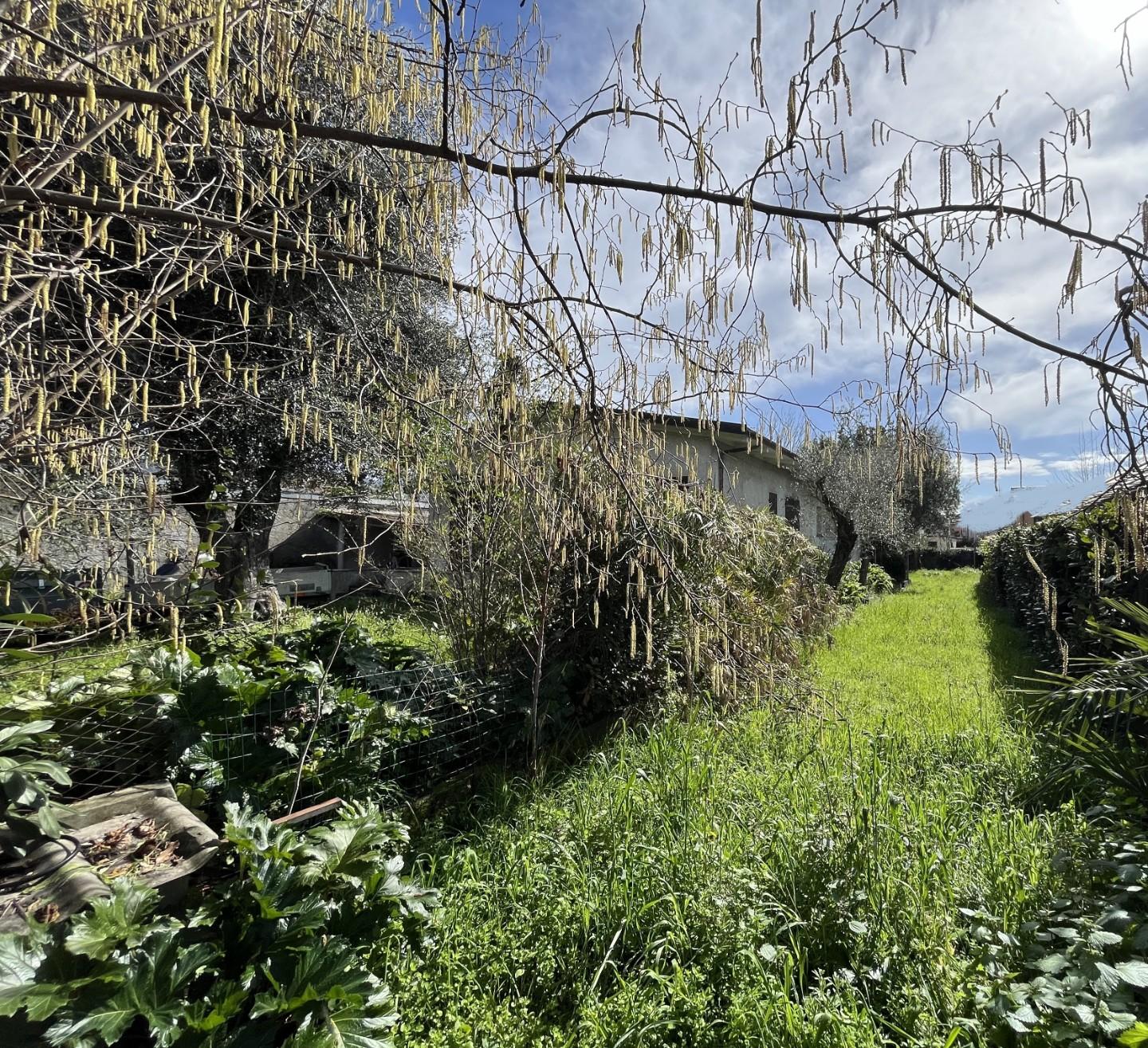 Immagine 7 di Casa indipendente in vendita  a Forte Dei Marmi