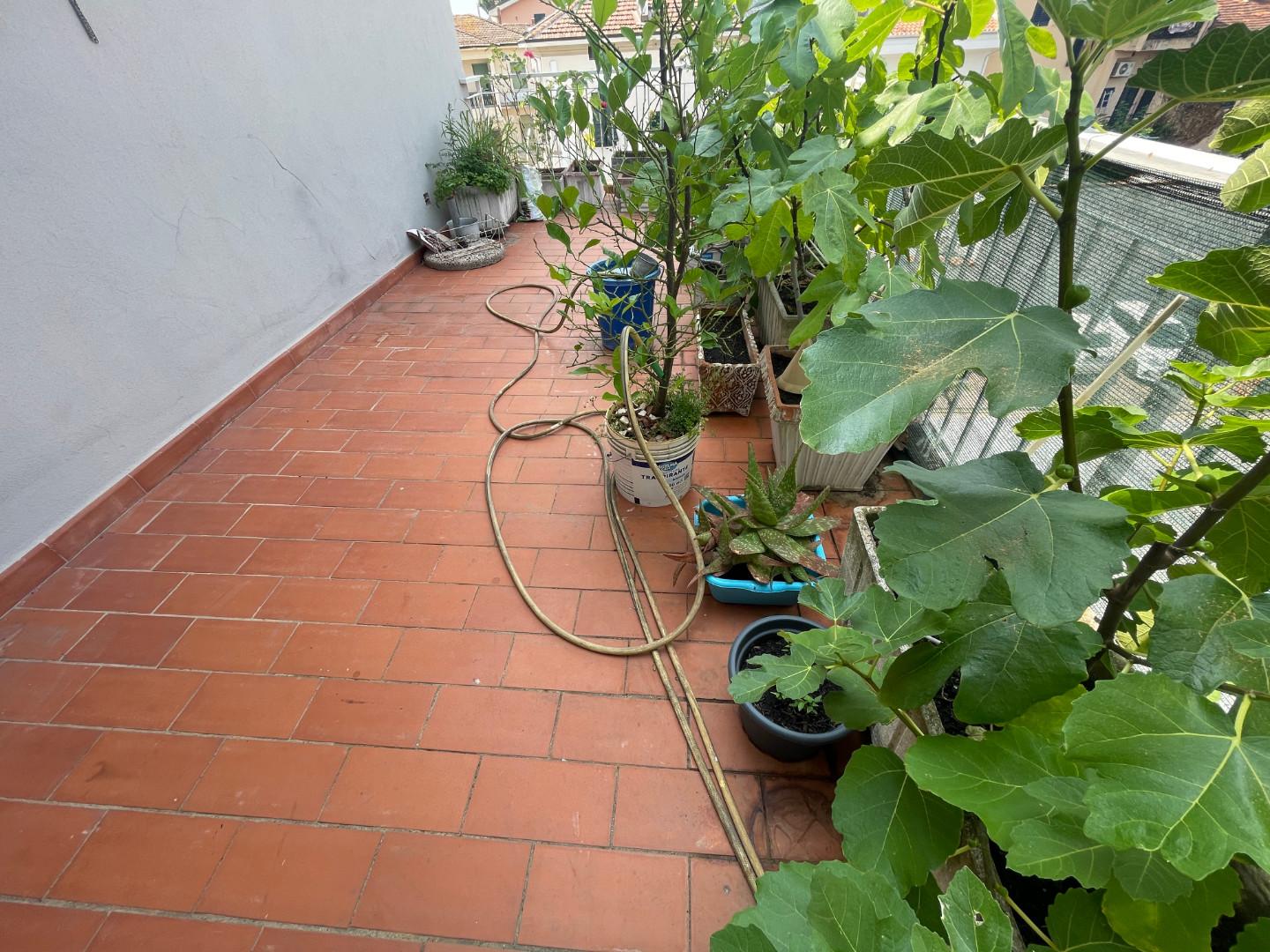 Foto annuncio 13