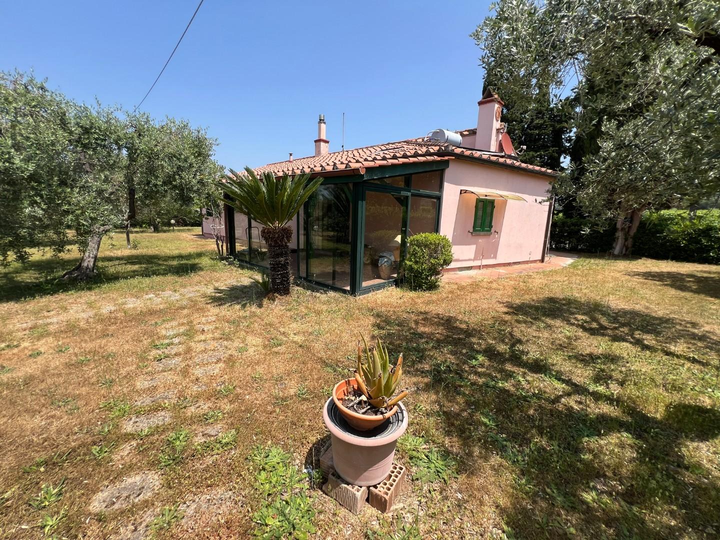 Immagine 17 di Casa colonica in vendita  a Castagneto Carducci