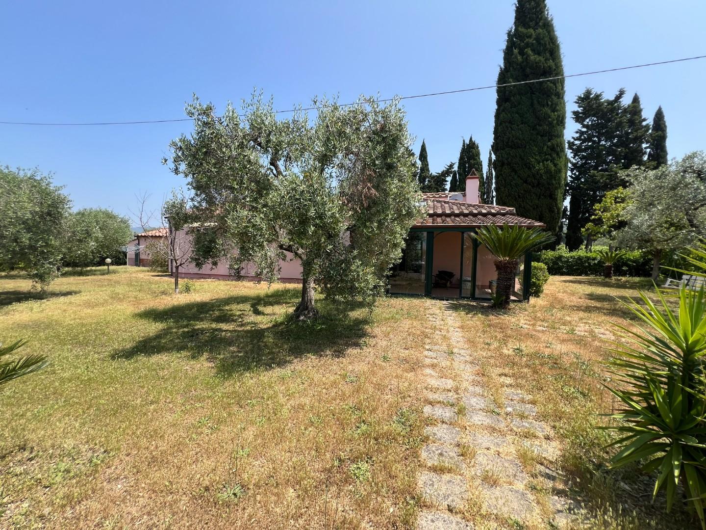 Immagine 15 di Casa colonica in vendita  a Castagneto Carducci