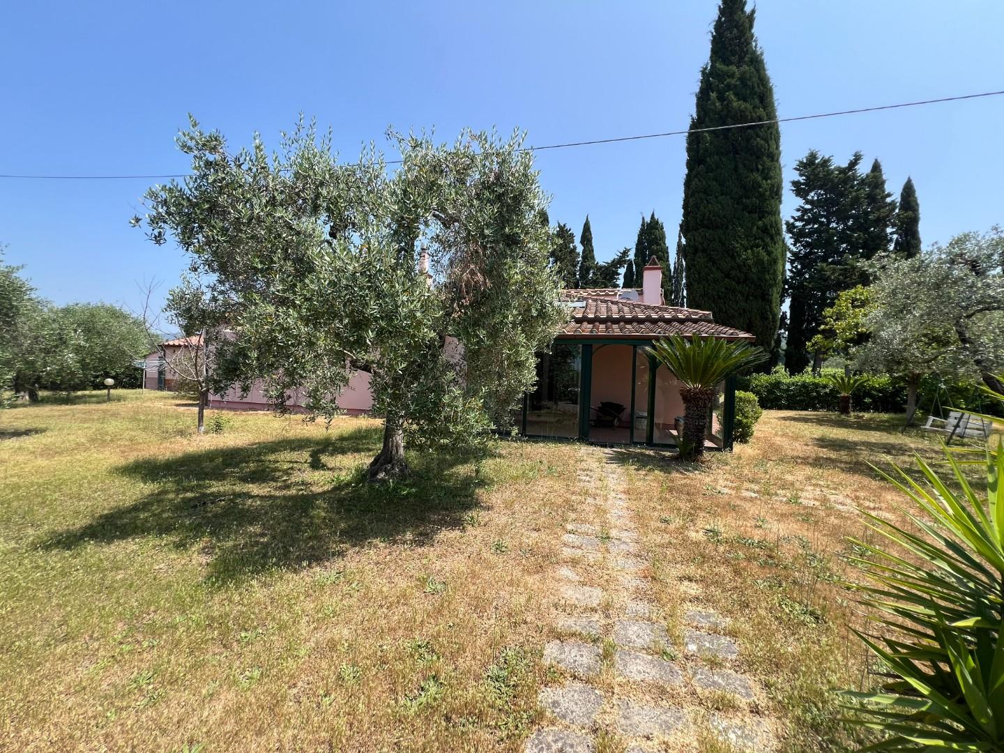 Immagine 16 di Casa colonica in vendita  a Castagneto Carducci