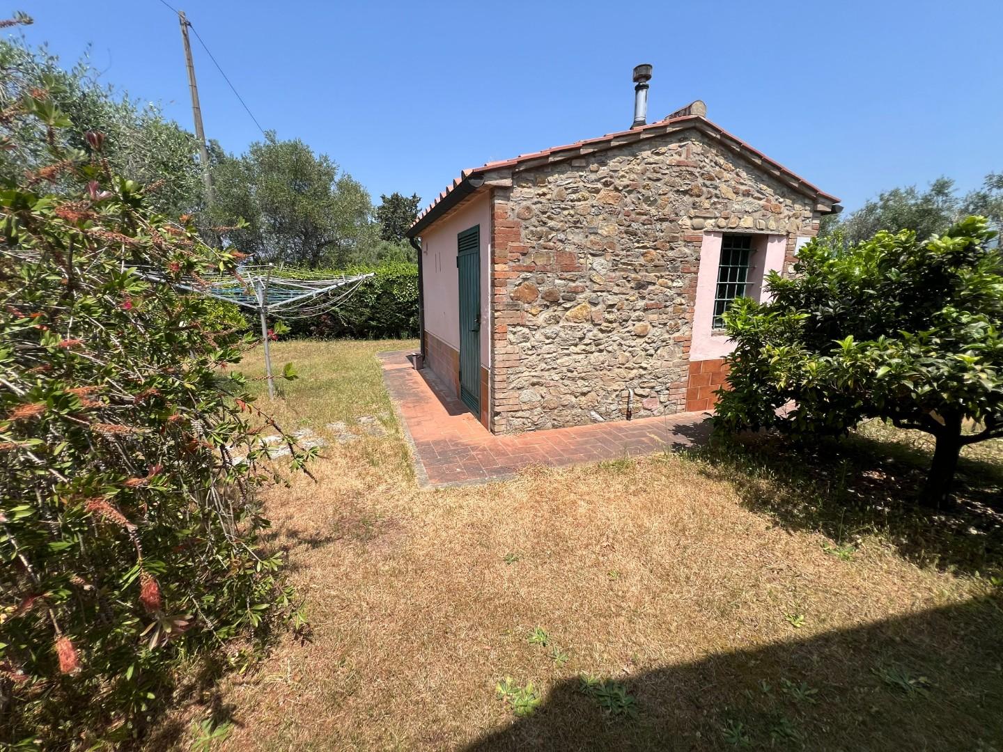 Immagine 20 di Casa colonica in vendita  a Castagneto Carducci