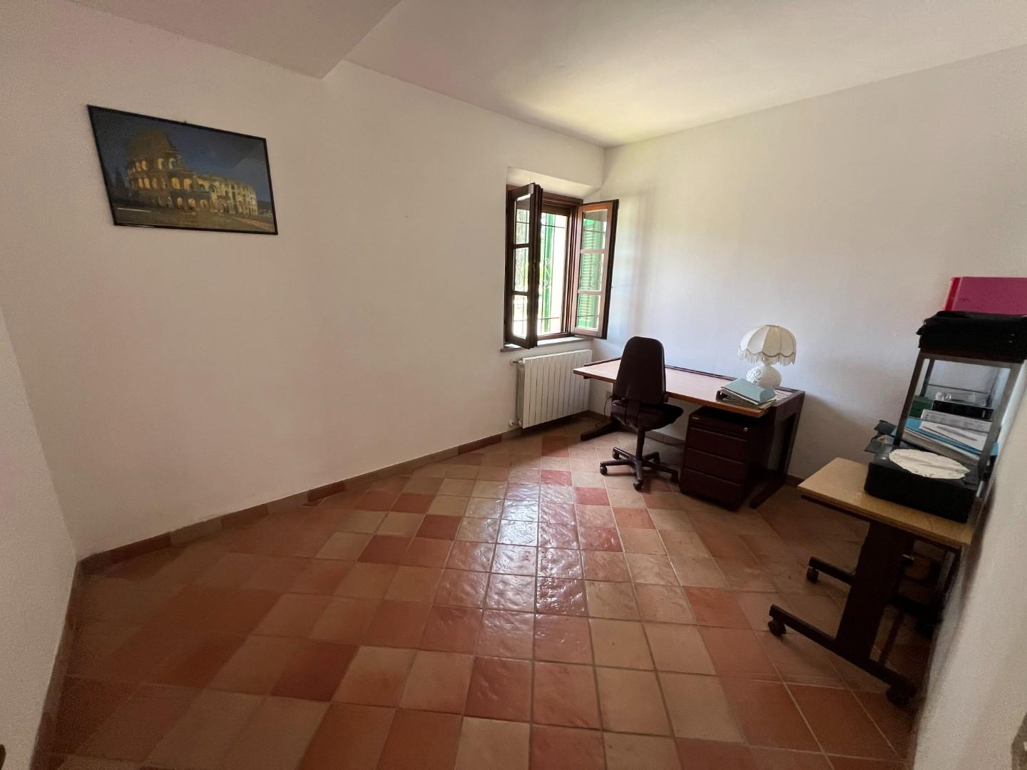 Immagine 13 di Casa colonica in vendita  a Castagneto Carducci