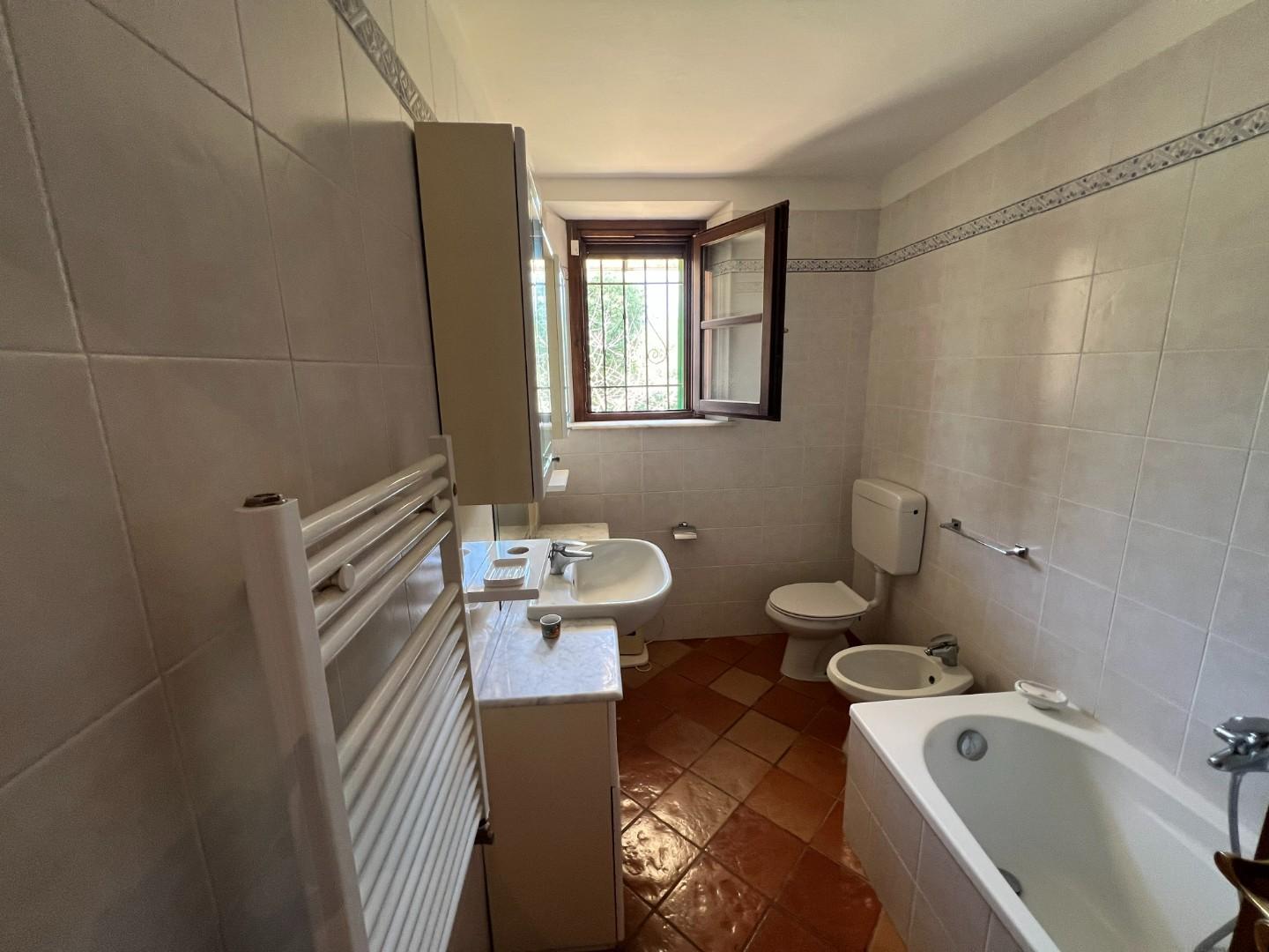 Immagine 14 di Casa colonica in vendita  a Castagneto Carducci