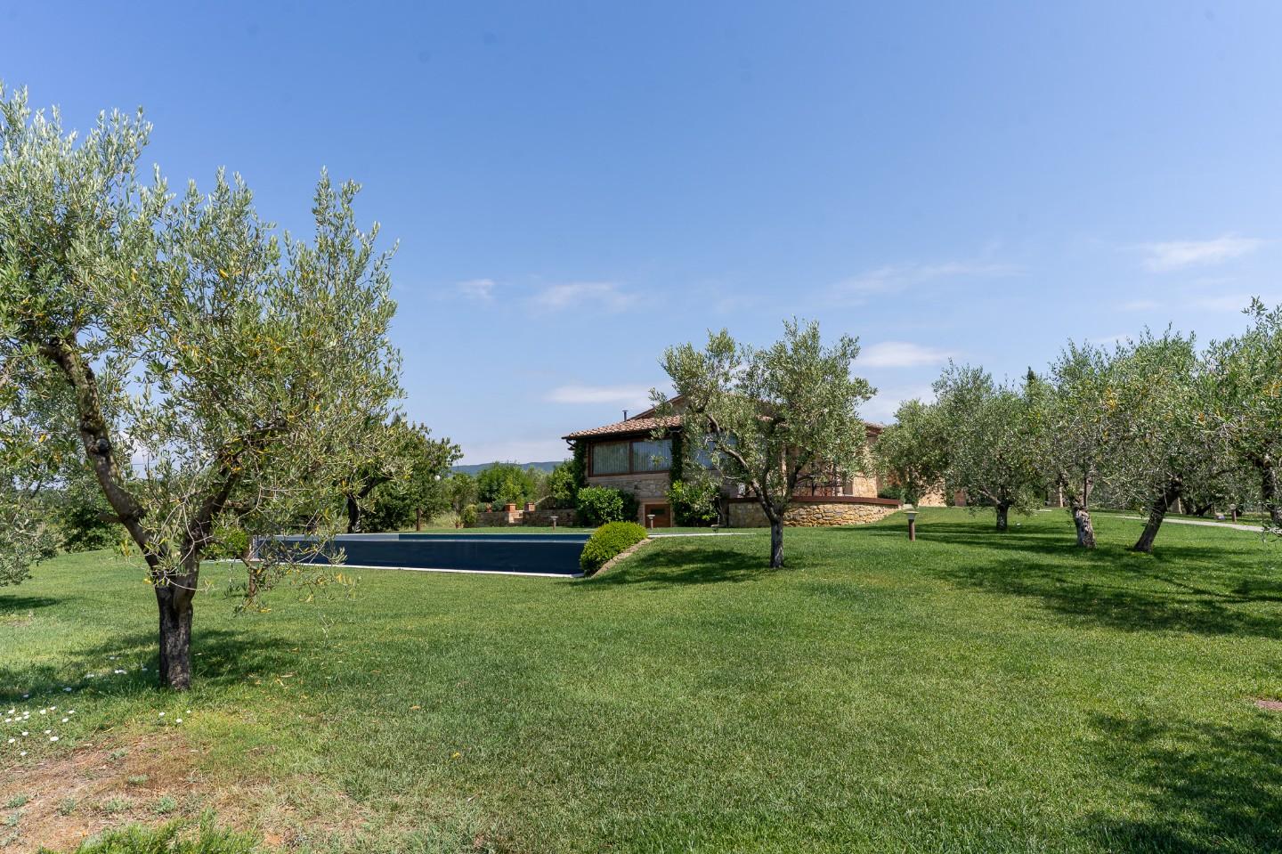 Immagine 19 di Villa in vendita  a Riparbella