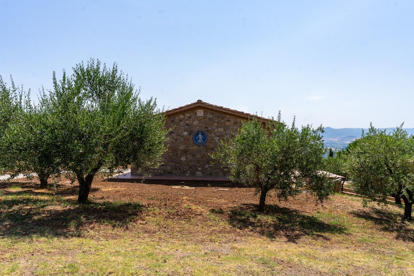 Immagine 46 di Villa in vendita  a Riparbella