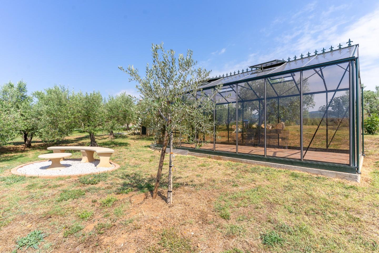 Immagine 51 di Villa in vendita  a Riparbella