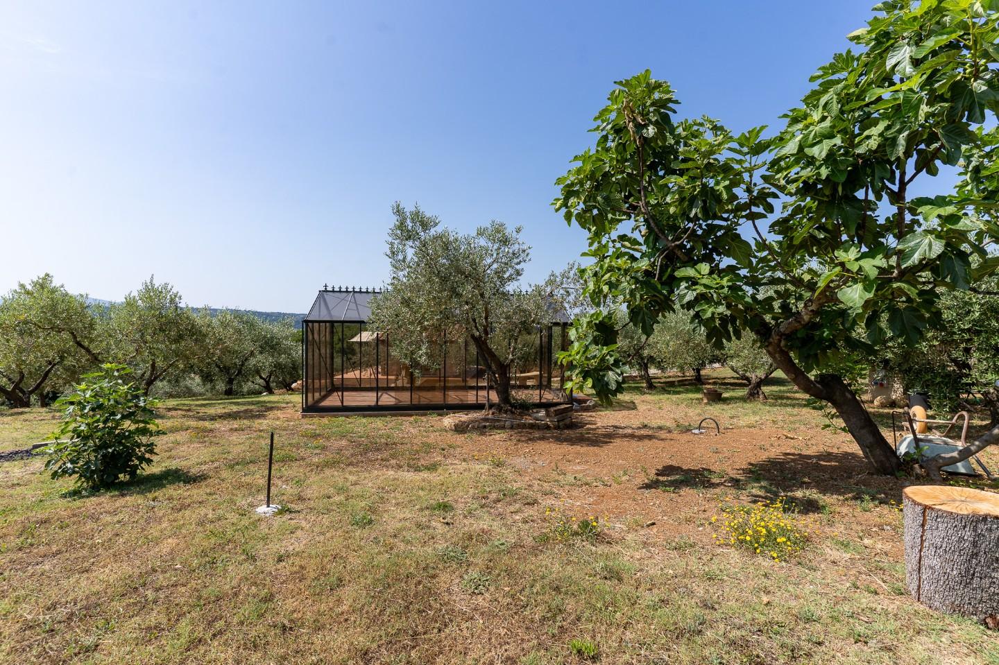 Immagine 50 di Villa in vendita  a Riparbella