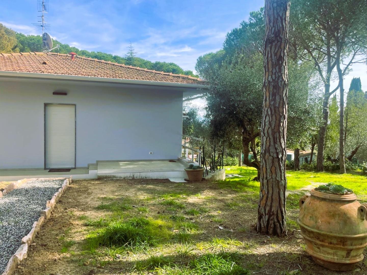 Immagine 4 di Villa in vendita  a Rosignano Marittimo