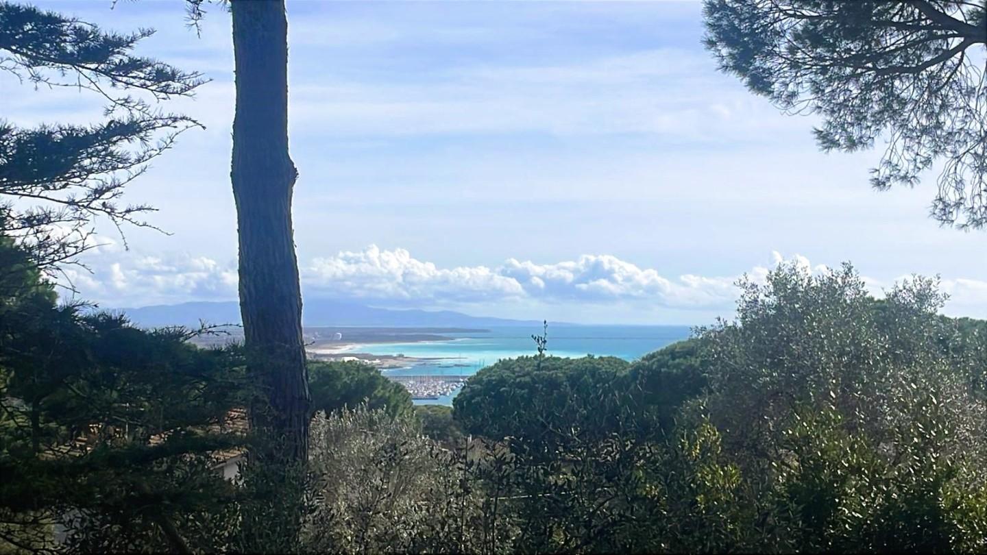 Immagine 1 di Villa in vendita  a Rosignano Marittimo