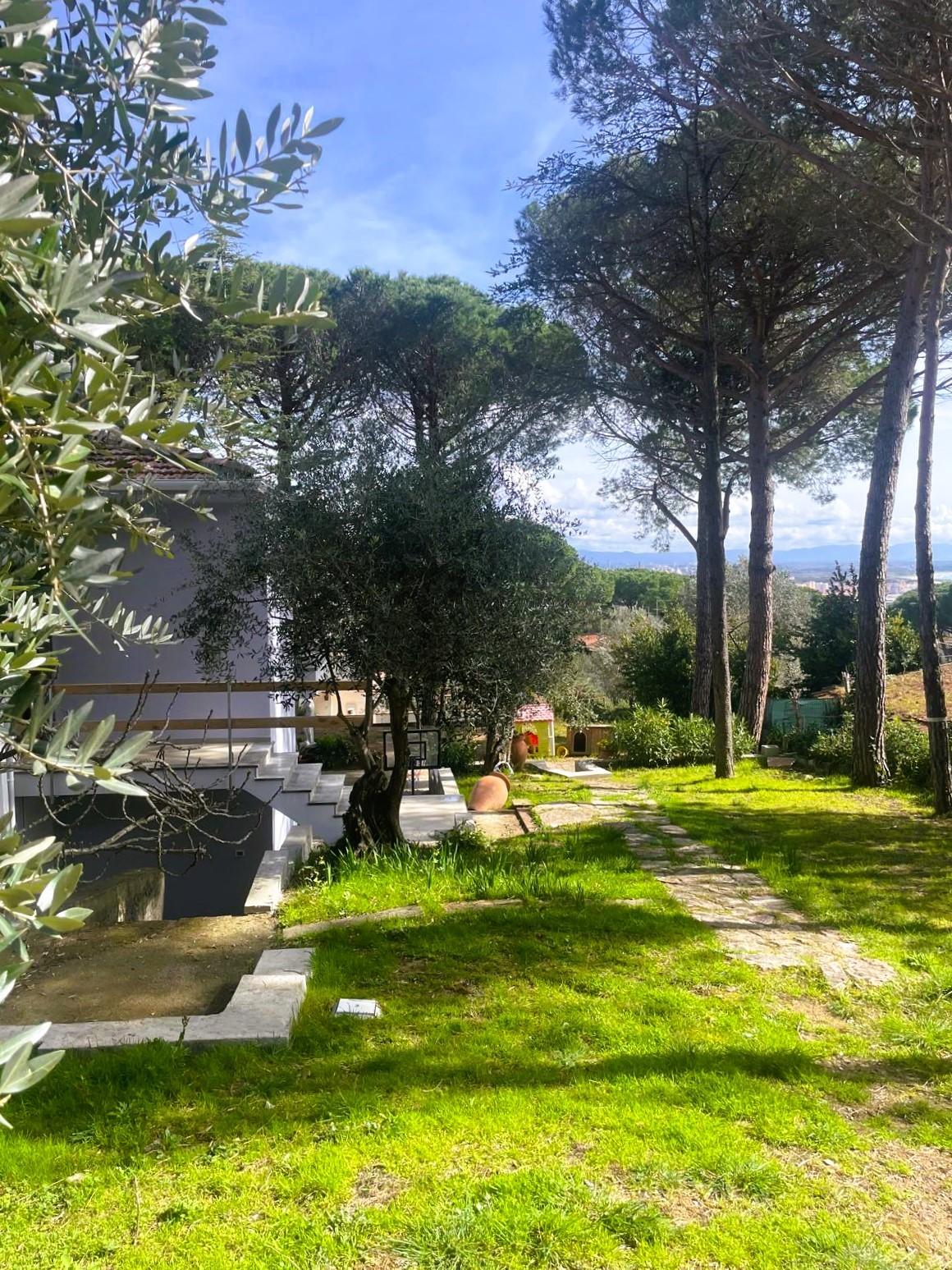 Immagine 5 di Villa in vendita  a Rosignano Marittimo