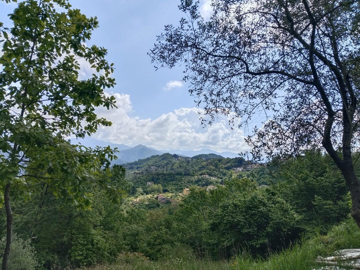Foto annuncio 21