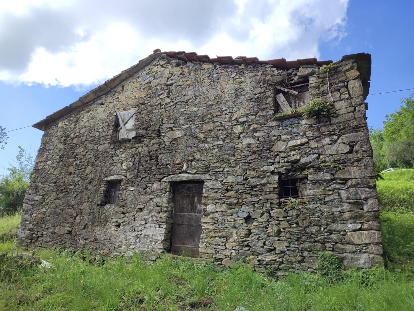 Foto annuncio 9