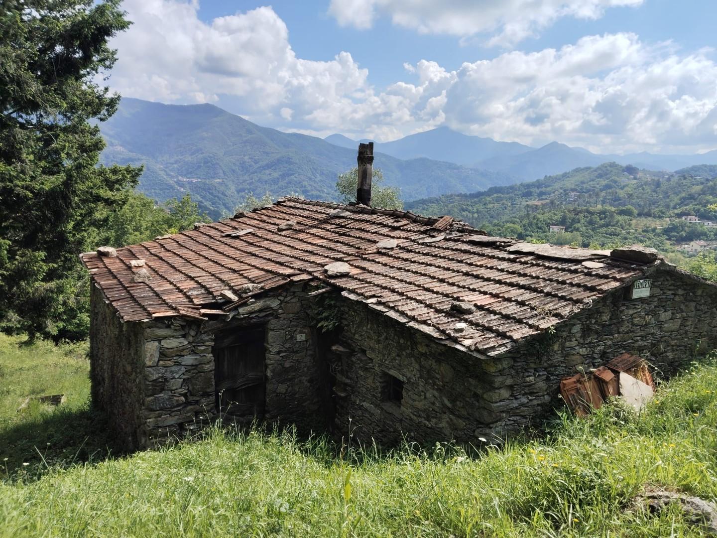 Foto annuncio 2