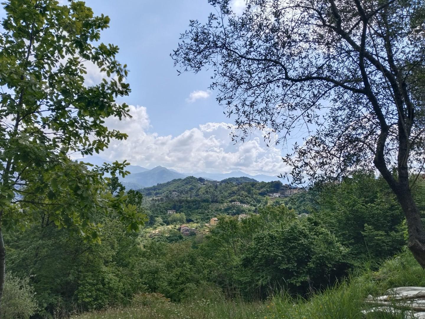 Foto annuncio 25
