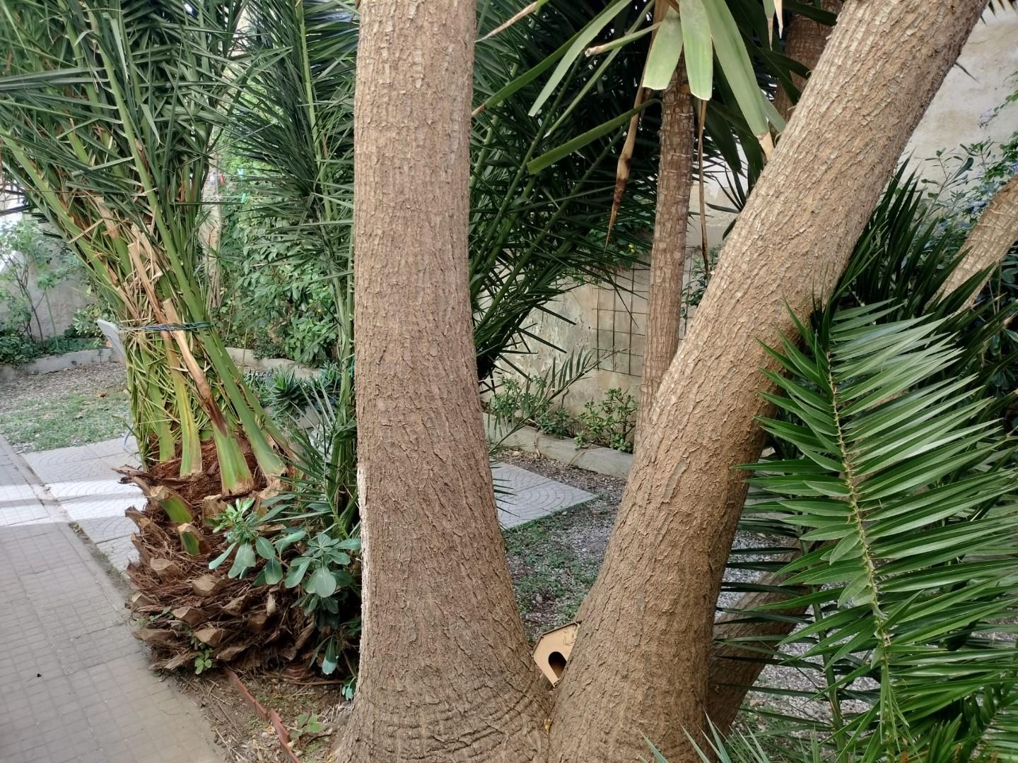 Immagine 22 di Appartamento in affitto  a Livorno