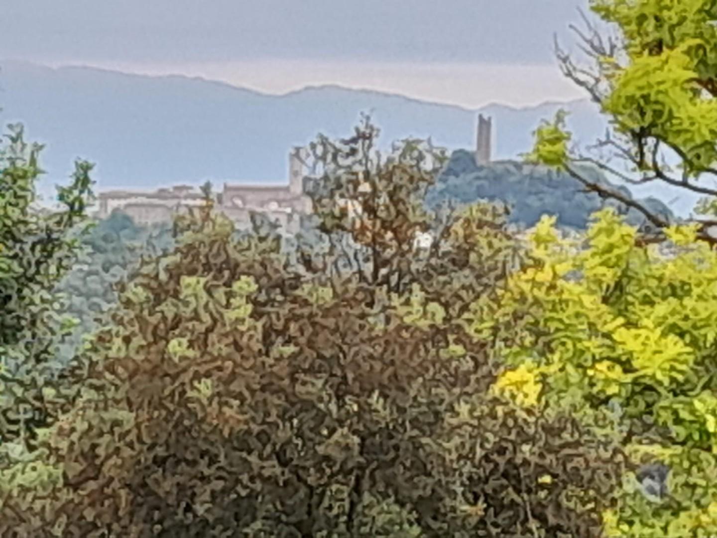 Immagine 14 di Terratetto in vendita  a San Miniato